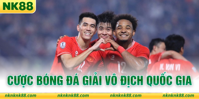 Cược Bóng Đá Giải Vô Địch Quốc Gia Vô Cùng Hấp Dẫn