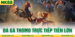 Đá Gà Thomo Trực Tiếp Tiền Lớn - Đỉnh Cao Giải Trí