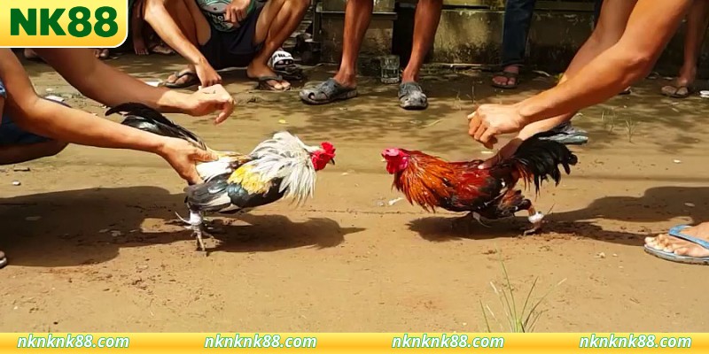 Hỗ trợHỗ trợ khách hàng chu đáo và tận tâm khách hàng chu đáo và tận tâm