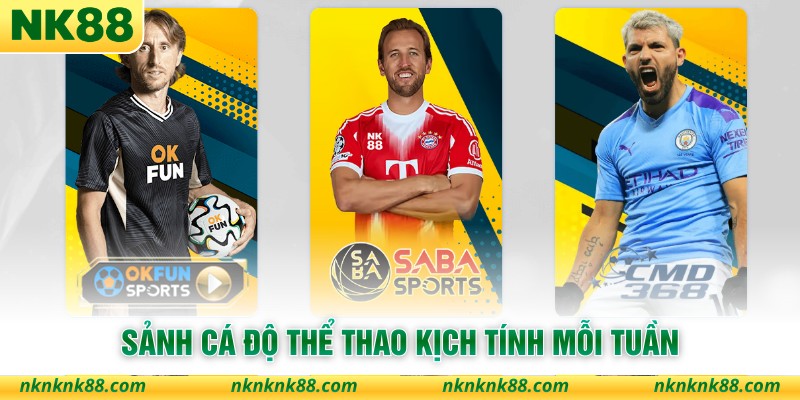 Sảnh cá độ thể thao kịch tính mỗi tuần