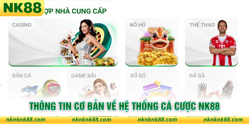 Thông tin cơ bản về hệ thống cá cược NK88