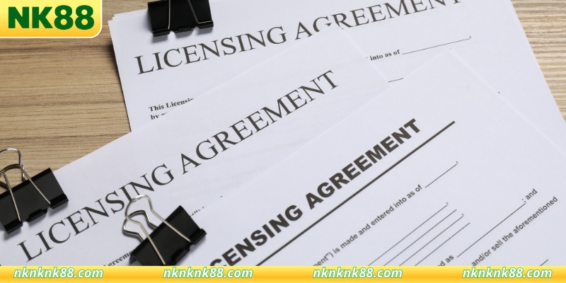 Vai trò quan trọng của giấy phép hoạt động